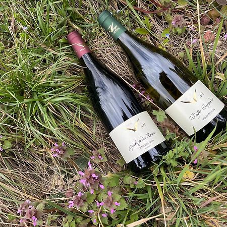 Weingut & Strausswirtschaft Vogel Lägenhet Vogtsburg Exteriör bild