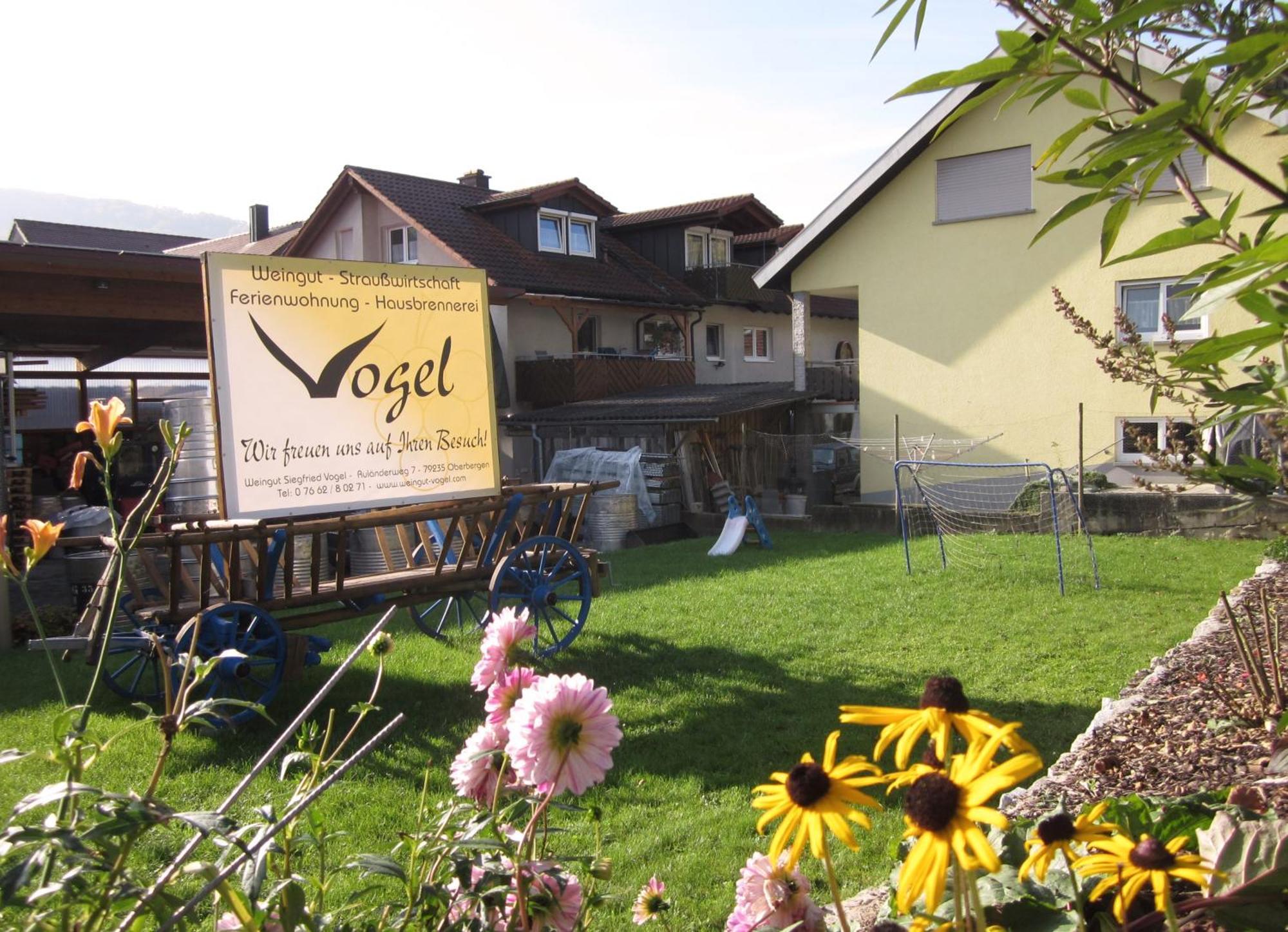 Weingut & Strausswirtschaft Vogel Lägenhet Vogtsburg Exteriör bild