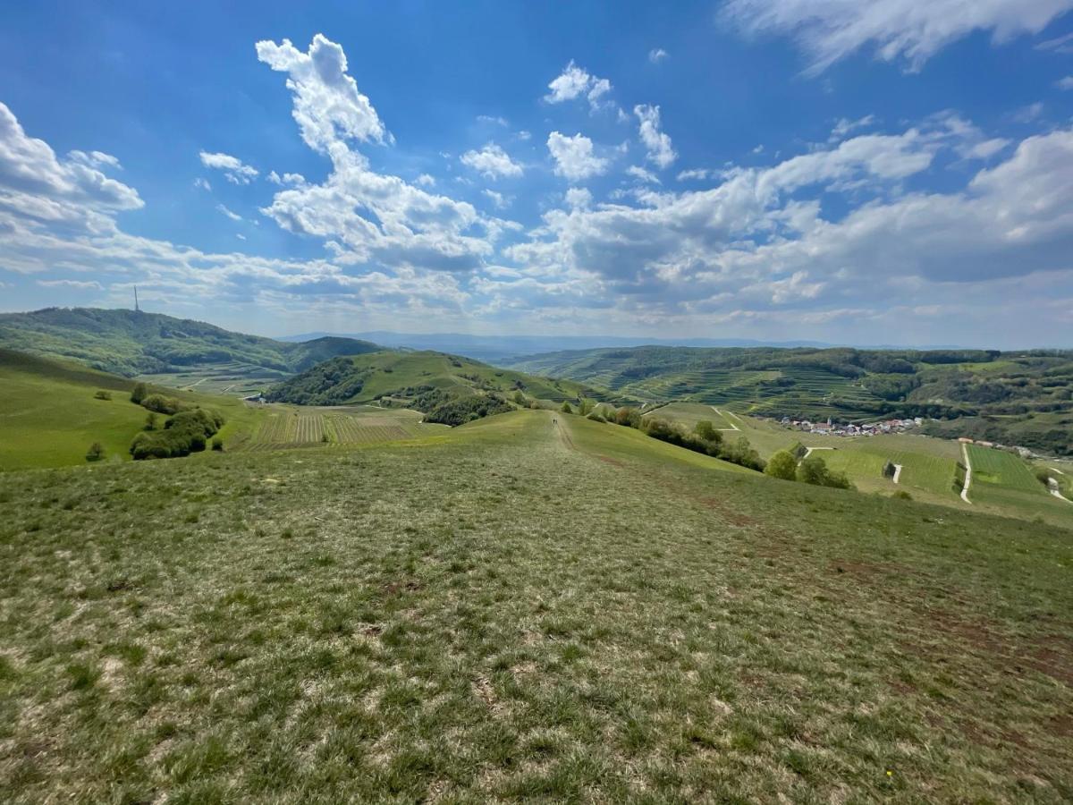 Weingut & Strausswirtschaft Vogel Lägenhet Vogtsburg Exteriör bild
