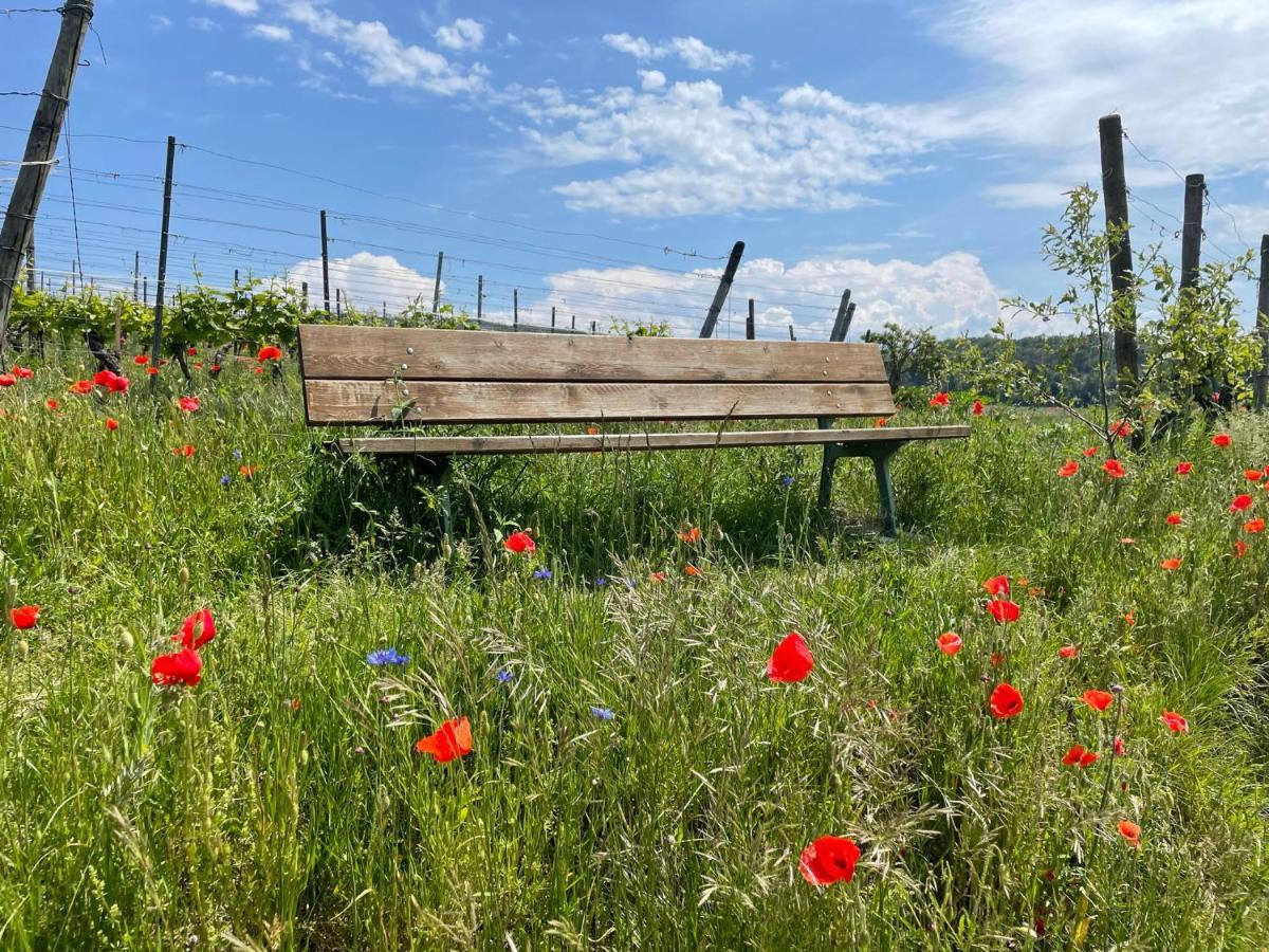 Weingut & Strausswirtschaft Vogel Lägenhet Vogtsburg Exteriör bild