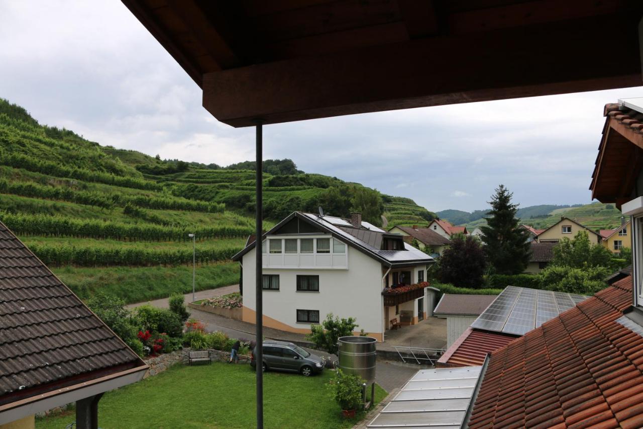Weingut & Strausswirtschaft Vogel Lägenhet Vogtsburg Exteriör bild