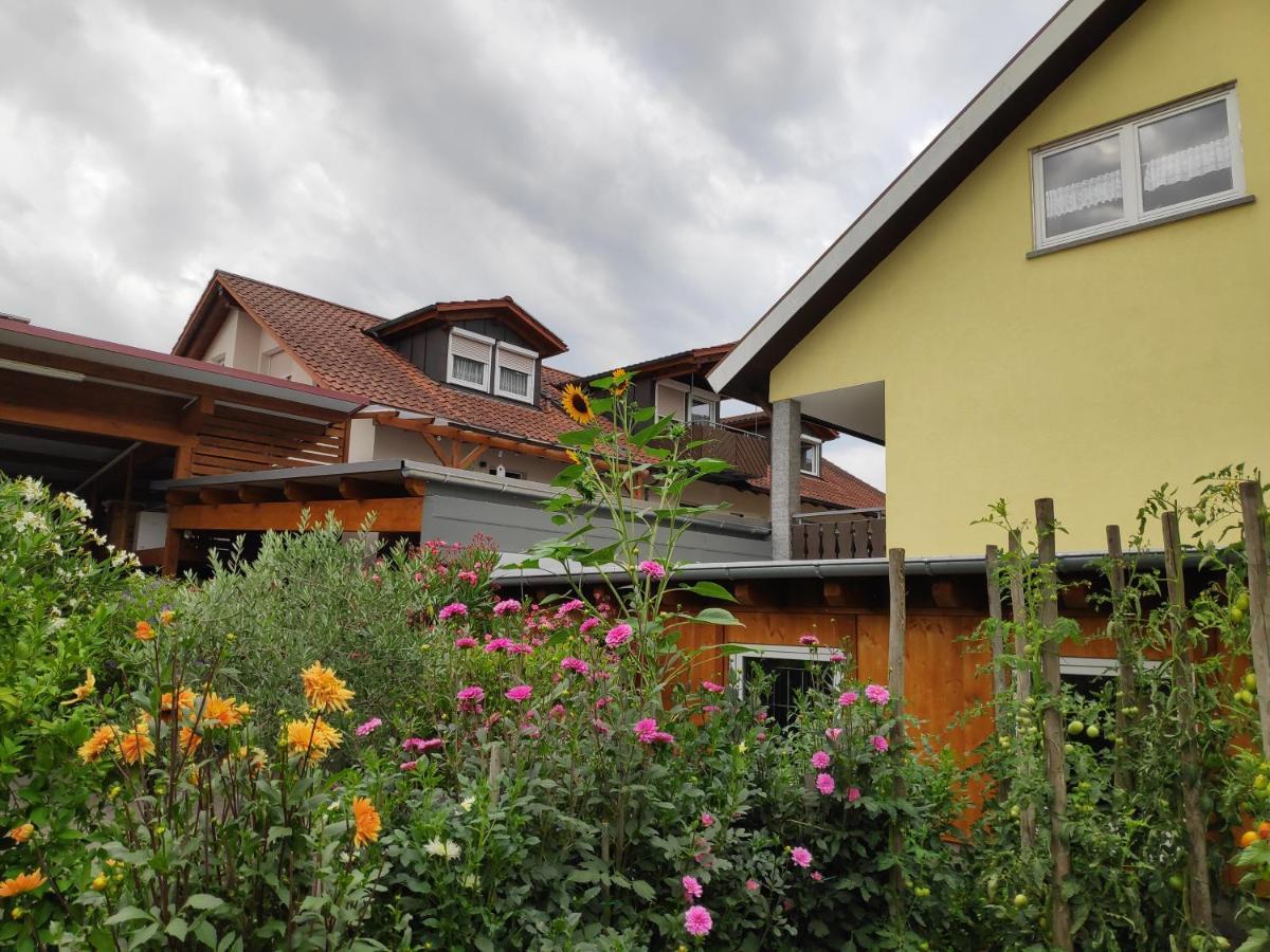 Weingut & Strausswirtschaft Vogel Lägenhet Vogtsburg Exteriör bild