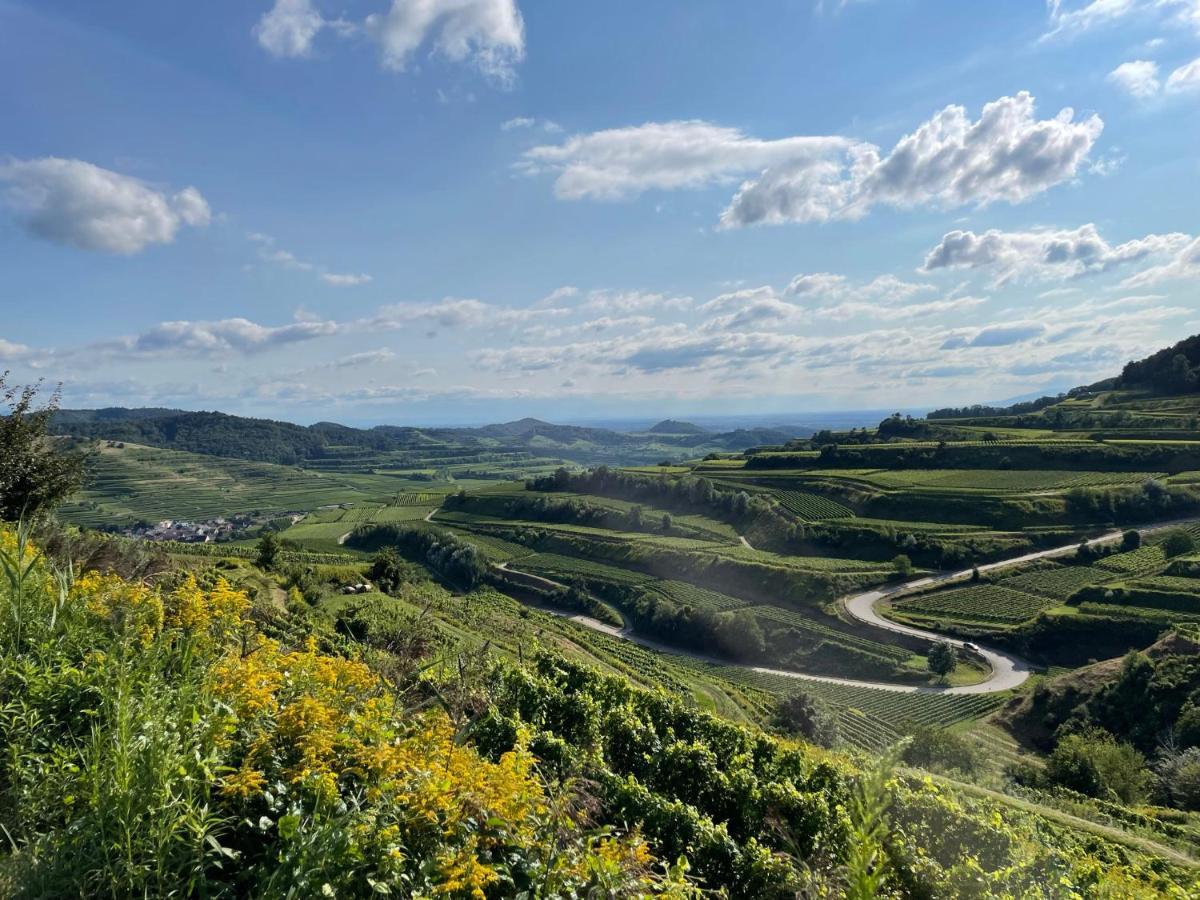 Weingut & Strausswirtschaft Vogel Lägenhet Vogtsburg Exteriör bild