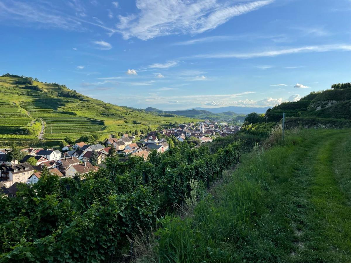 Weingut & Strausswirtschaft Vogel Lägenhet Vogtsburg Exteriör bild