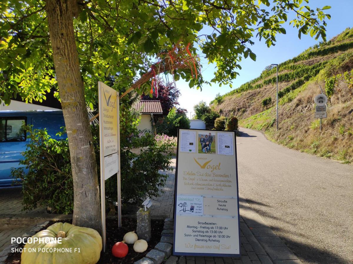 Weingut & Strausswirtschaft Vogel Lägenhet Vogtsburg Exteriör bild