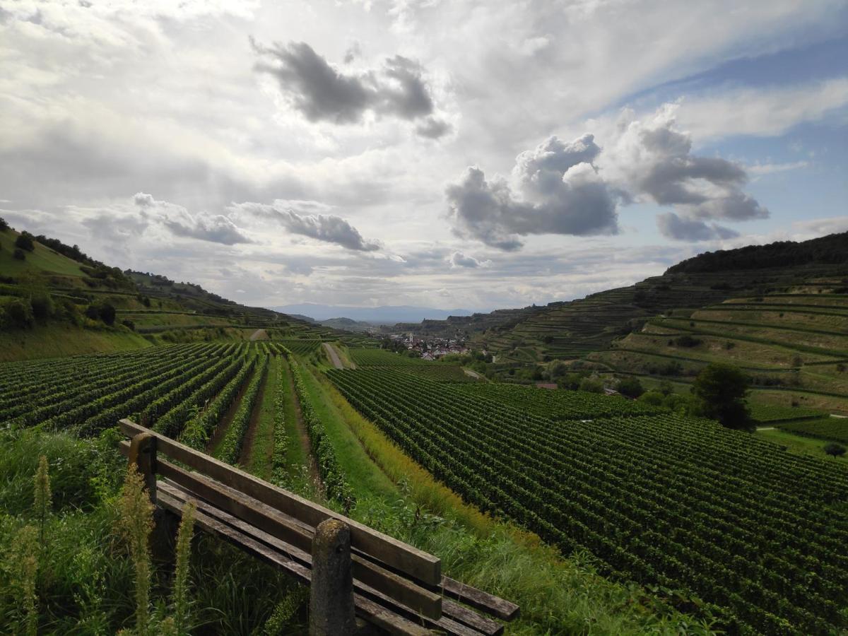 Weingut & Strausswirtschaft Vogel Lägenhet Vogtsburg Exteriör bild