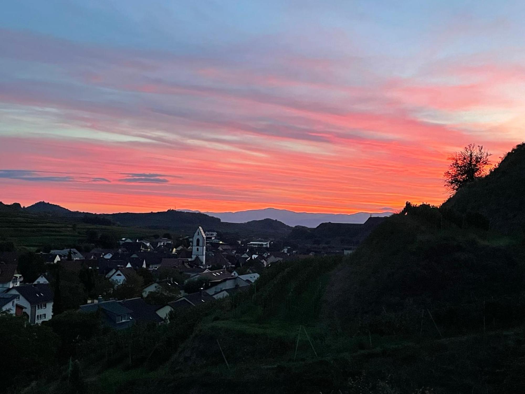 Weingut & Strausswirtschaft Vogel Lägenhet Vogtsburg Exteriör bild