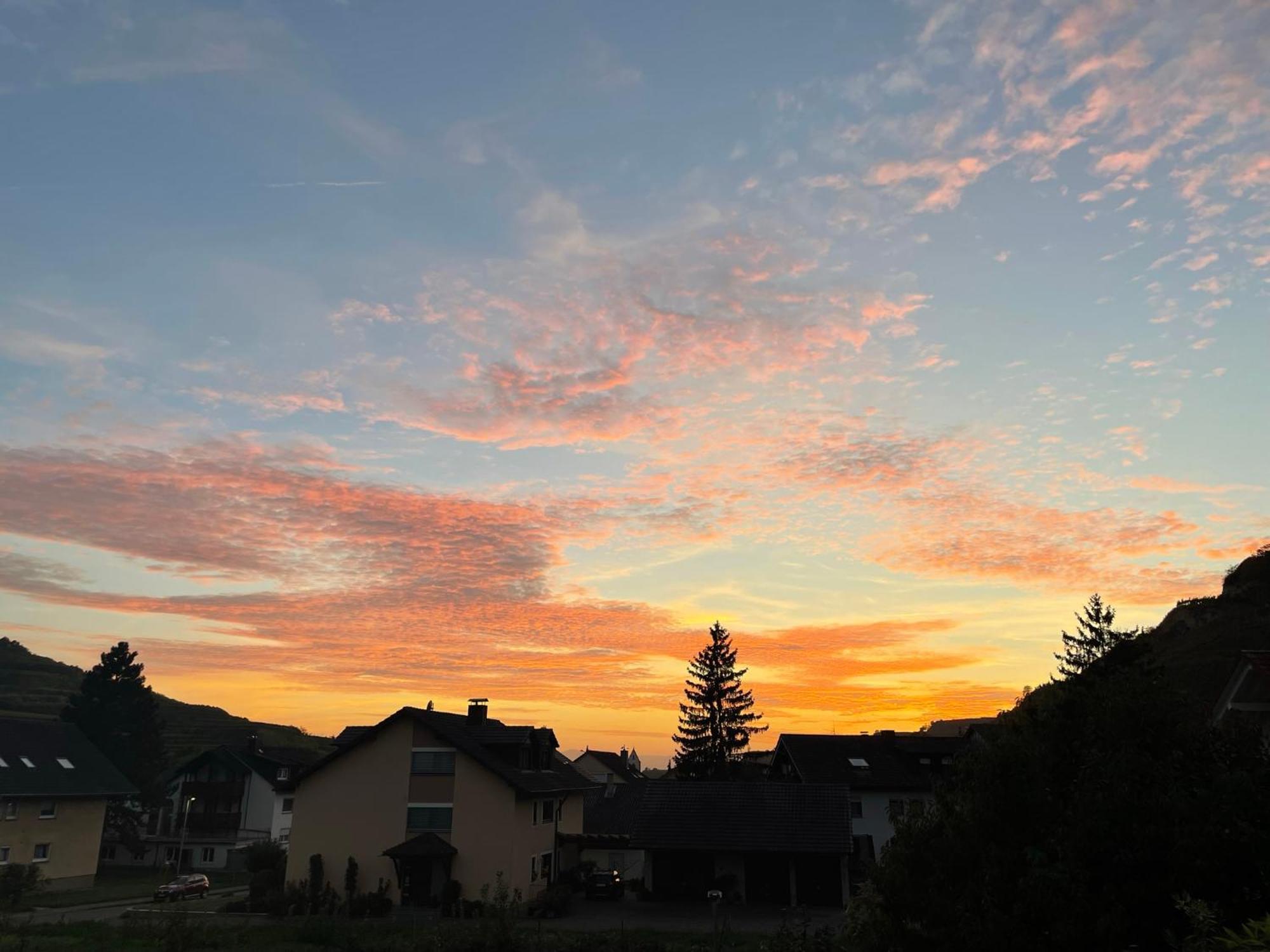 Weingut & Strausswirtschaft Vogel Lägenhet Vogtsburg Exteriör bild