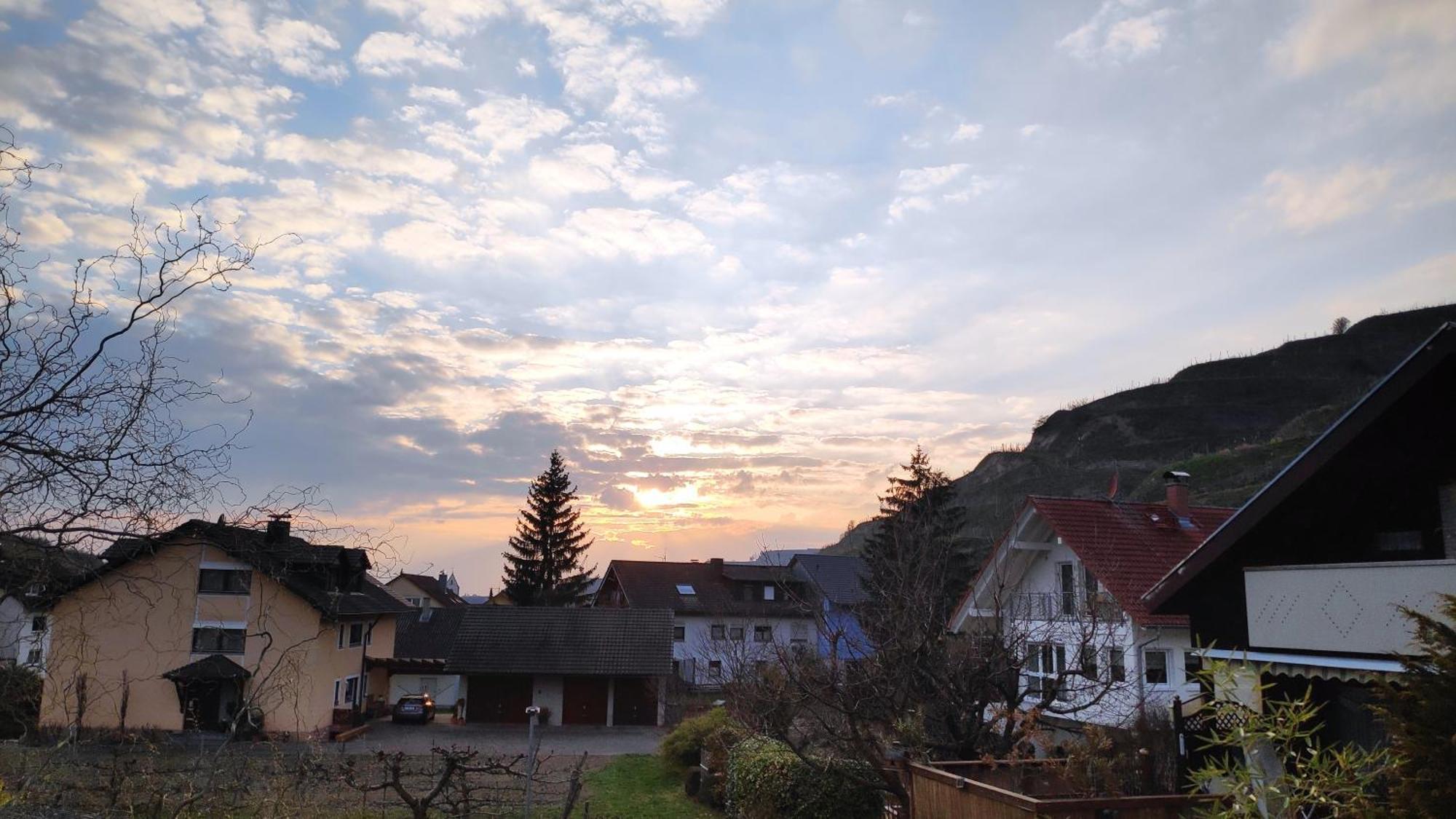 Weingut & Strausswirtschaft Vogel Lägenhet Vogtsburg Exteriör bild