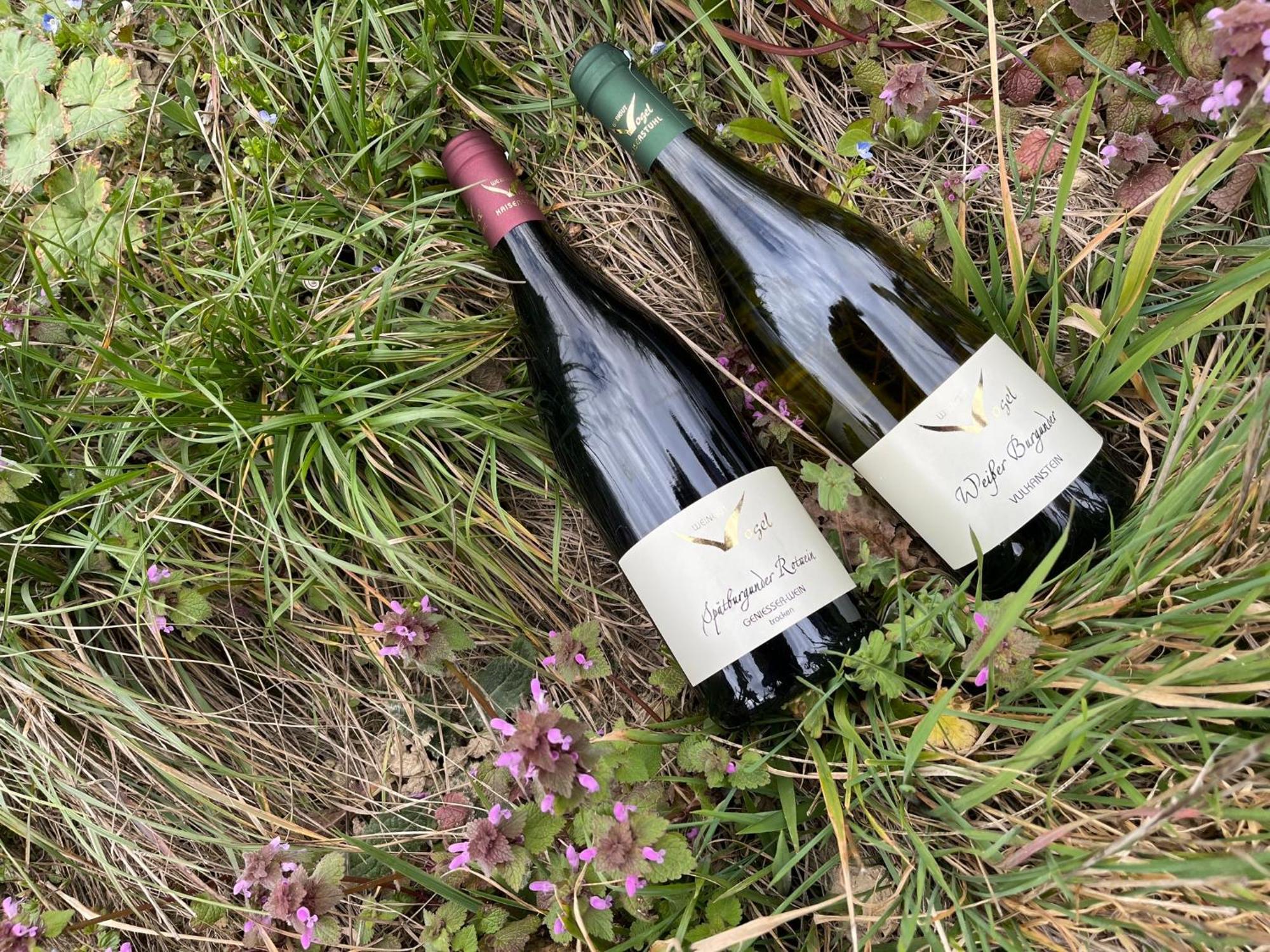 Weingut & Strausswirtschaft Vogel Lägenhet Vogtsburg Exteriör bild