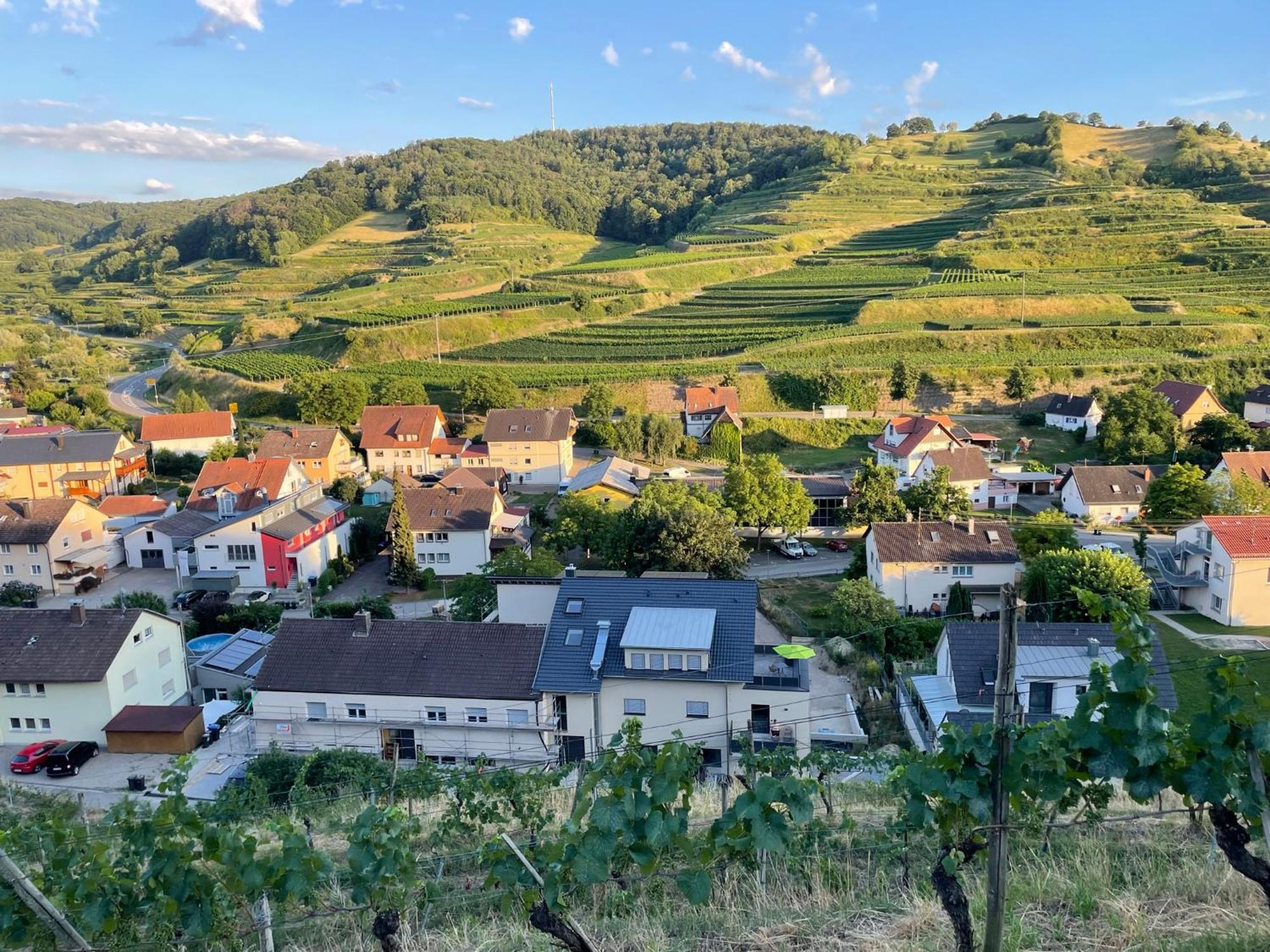 Weingut & Strausswirtschaft Vogel Lägenhet Vogtsburg Exteriör bild